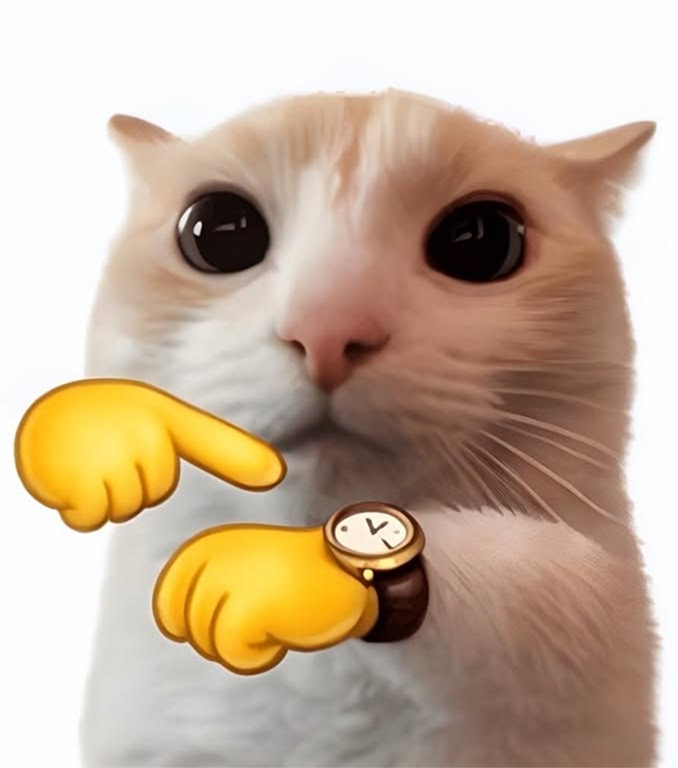 Cat time