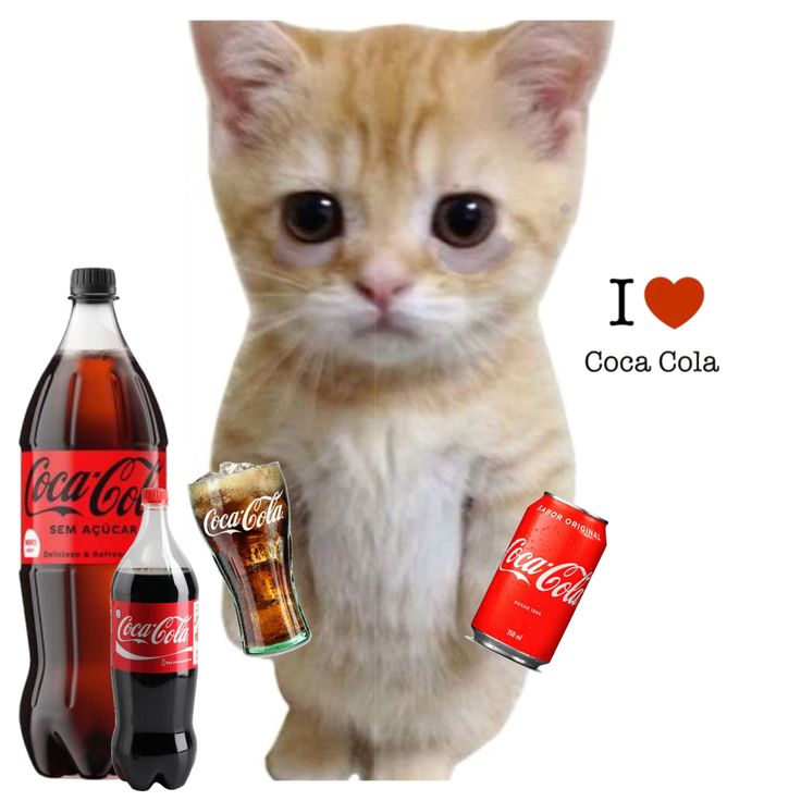 Cola cat