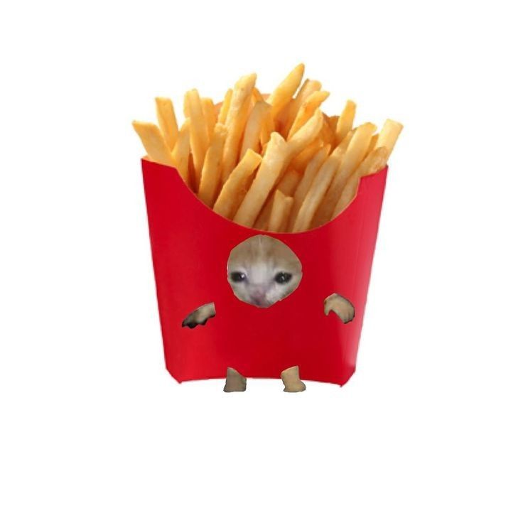 Fries cat