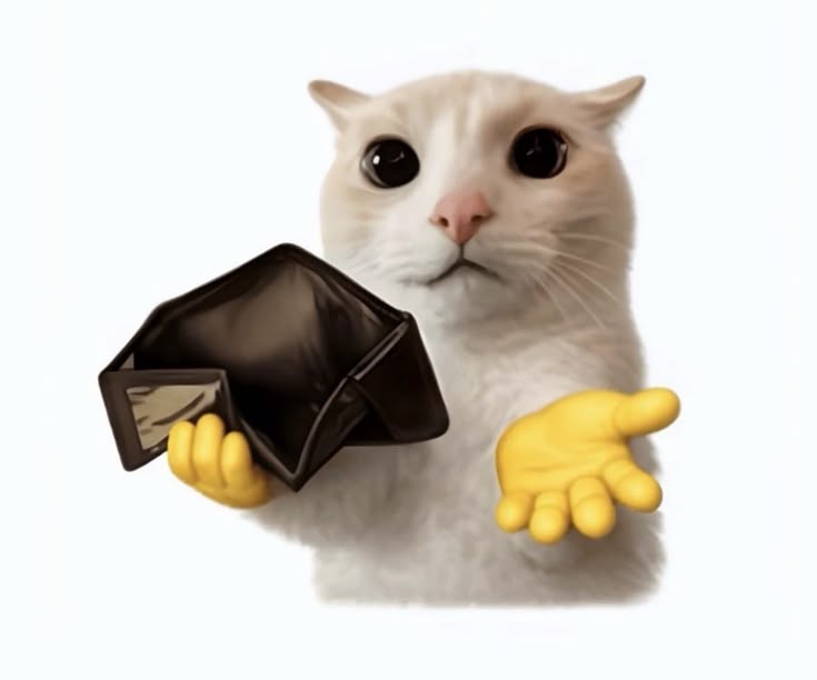 Wallet cat